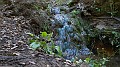 DSCN9316