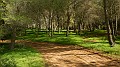 DSCN9323