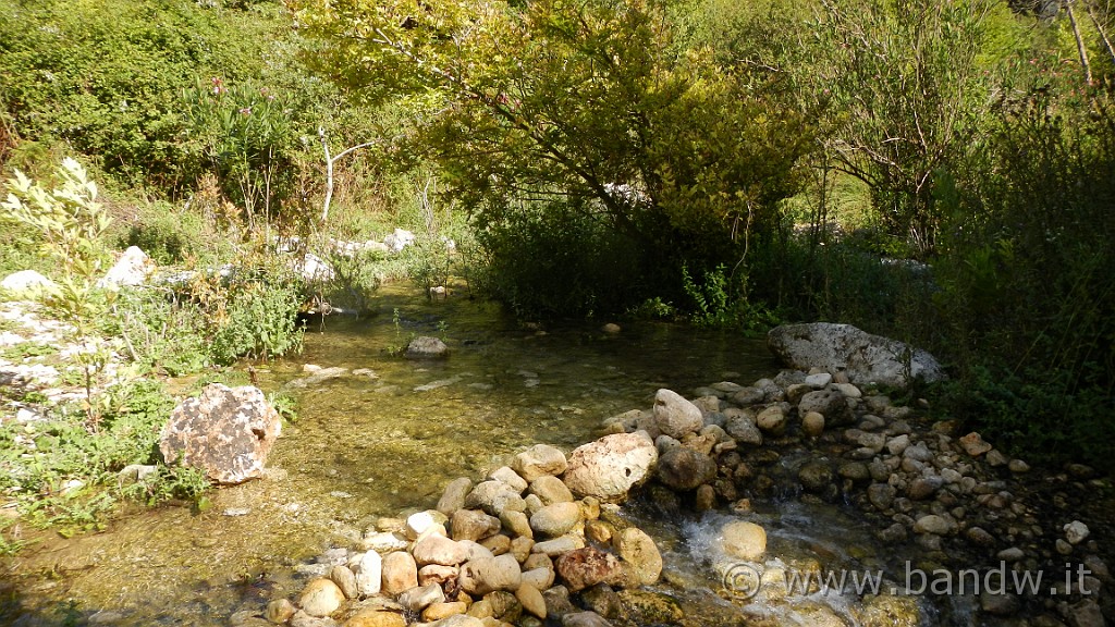 DSCN1776.JPG -                                