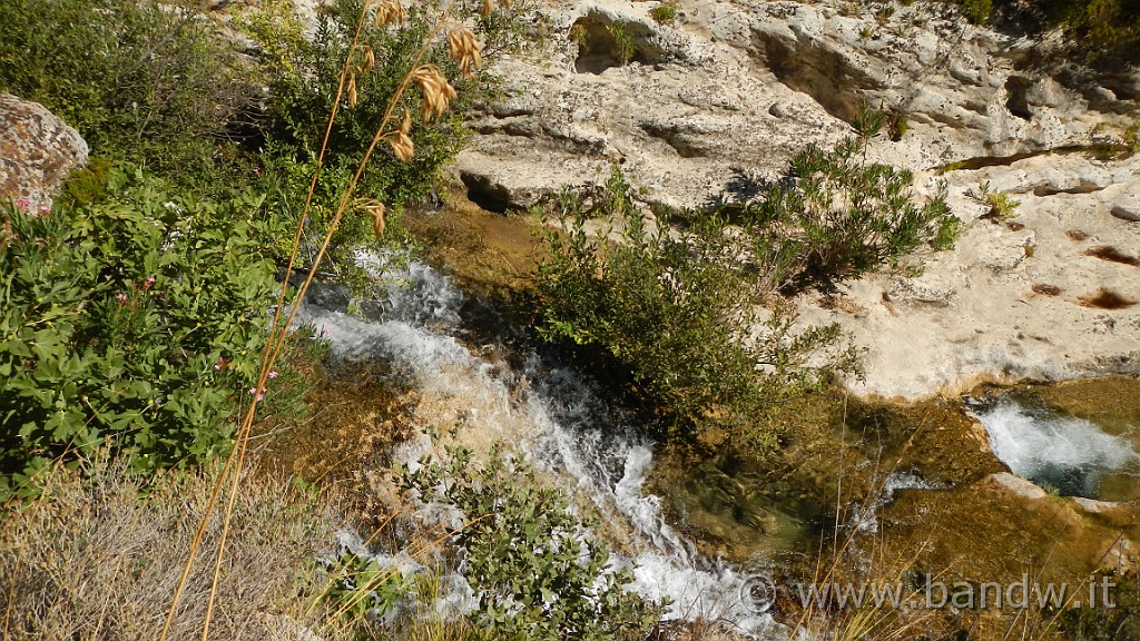 DSCN1784.JPG -                                