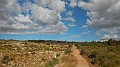 DSCN1761