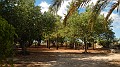 DSCN1770