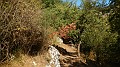 DSCN1773