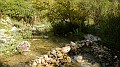 DSCN1776