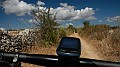 DSCN1798
