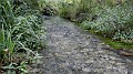 DSCN1801