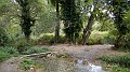 DSCN1803