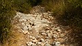 DSCN1806