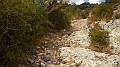 DSCN1807
