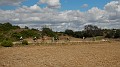 DSCN1934