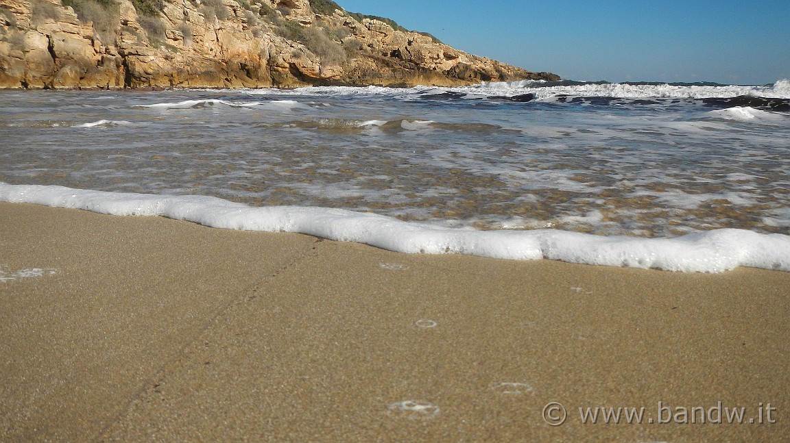 DSCN9613.JPG -                                