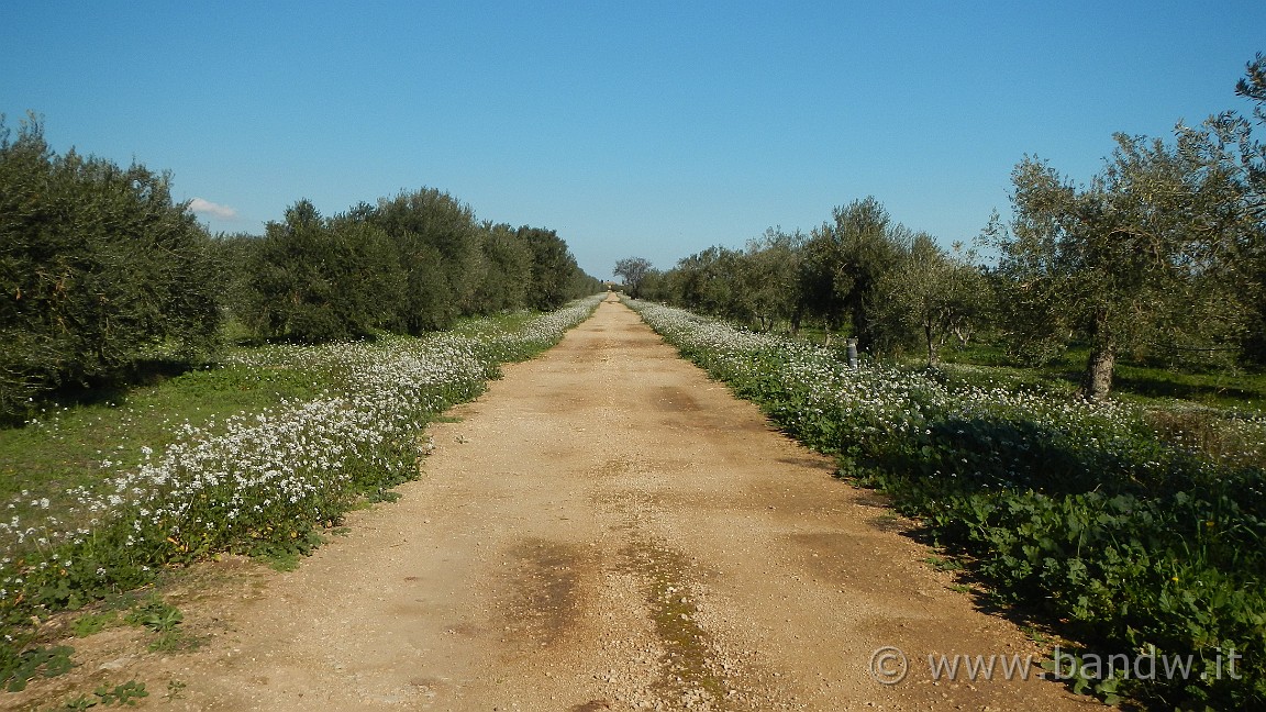 DSCN9663.JPG -                                