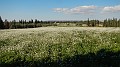 DSCN9665