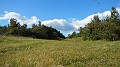 DSCN0629