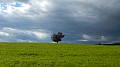 DSCN0659