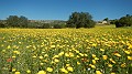 DSCN3134