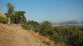 DSCN1592