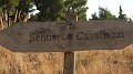 DSCN1606