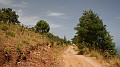 DSCN1631