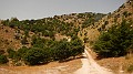 DSCN1638