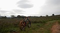 DSCN5547