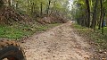 DSCN5551