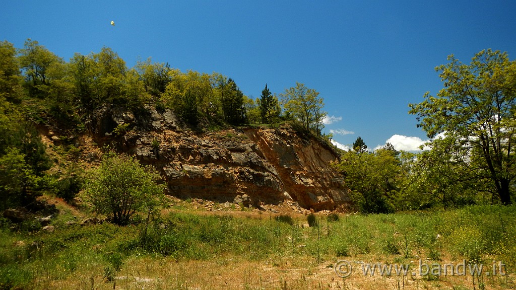 DSCN9715.JPG -                                
