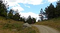 DSCN0385