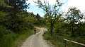 DSCN9696