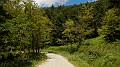 DSCN9711