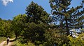 DSCN9719