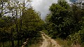 DSCN9722