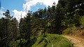 DSCN9749