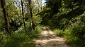 DSCN9761