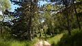 DSCN9763