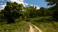 DSCN9765