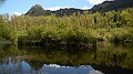 DSCN9774