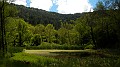 DSCN9779