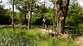 DSCN9781