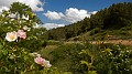 DSCN9787