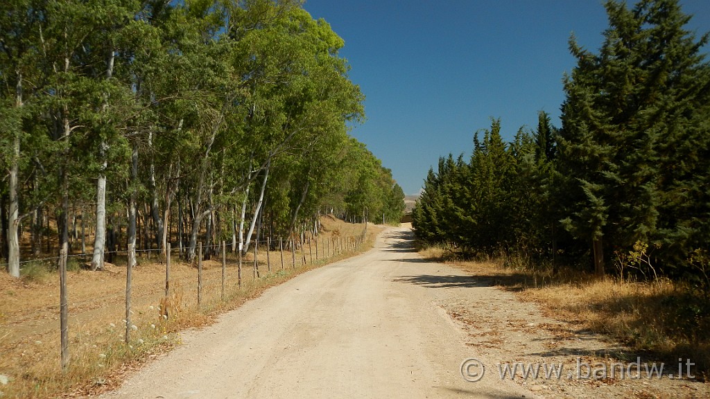 DSCN1132.JPG - Riserva Naturale Orientata di Monte Capodarso e Valle dell'Imera