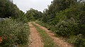 DSCN3211