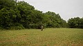 DSCN3229
