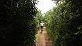 DSCN3236