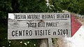 DSCN3241