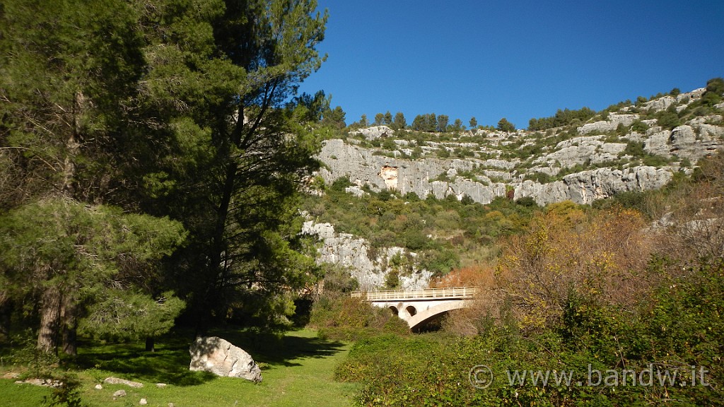 DSCN6852.JPG -                                
