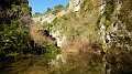 DSCN6824