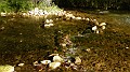 DSCN6825