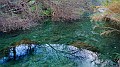 DSCN6835