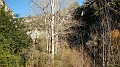 DSCN6837